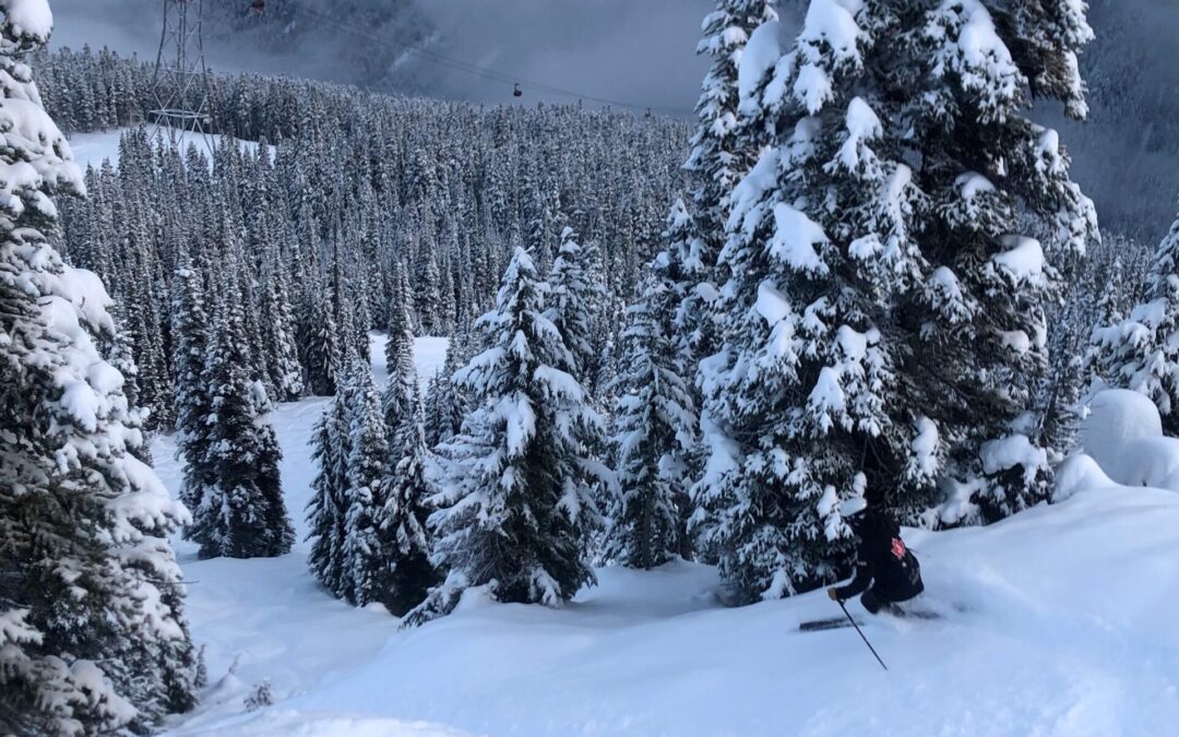 QUOI DE NEUF EN COLOMBIE-BRITANNIQUE / YUKON?